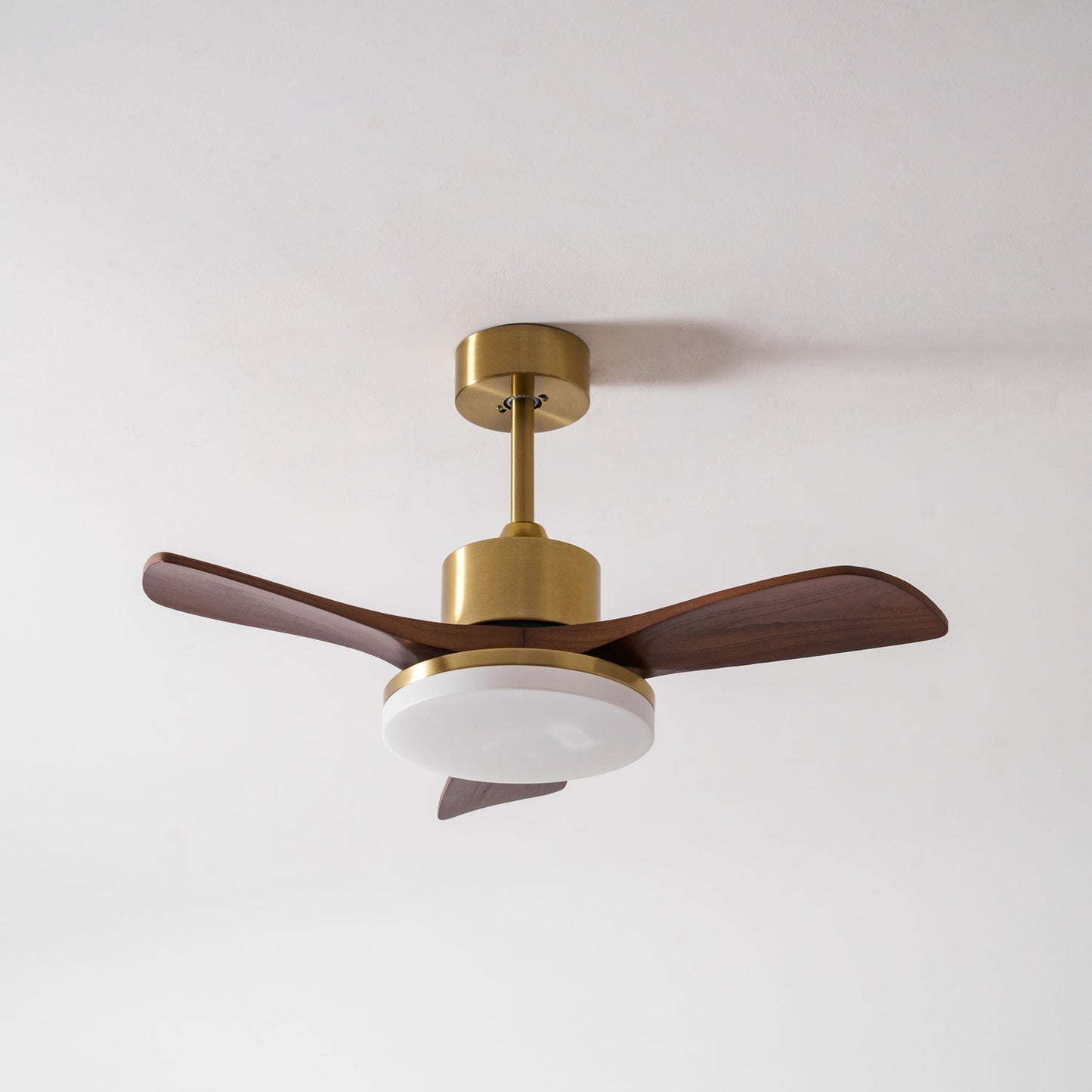Aurevo Ceiling Fan Light 1001 Ceiling fan light