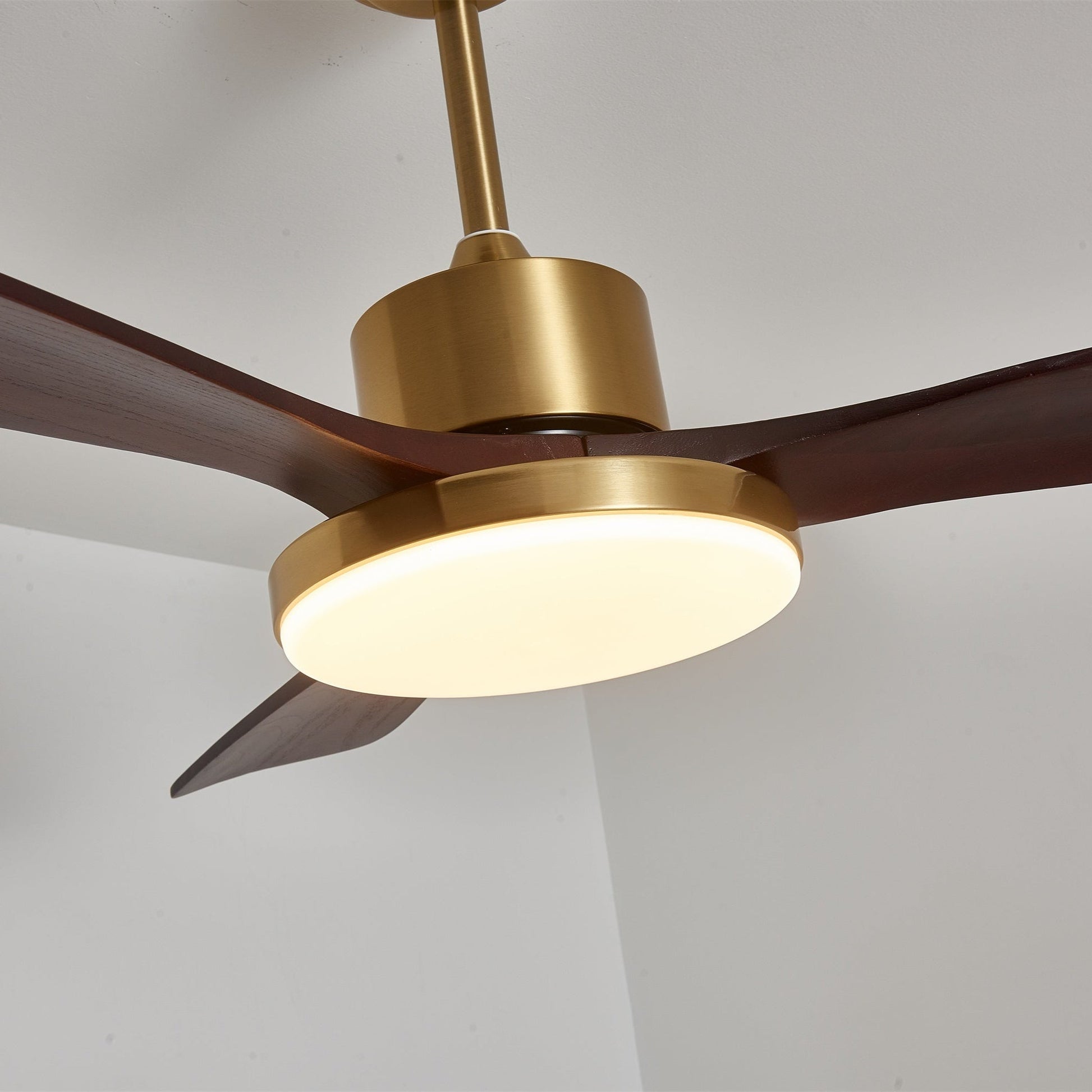 Aurevo Ceiling Fan Light 1001 Ceiling fan light