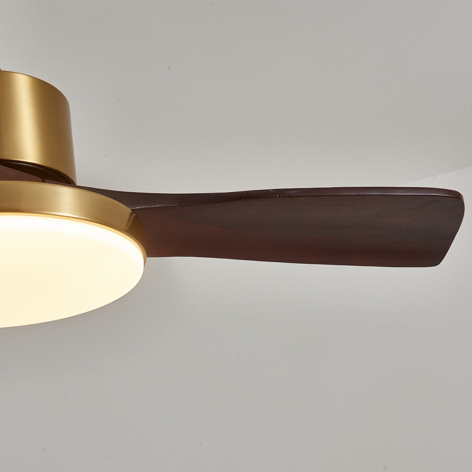Aurevo Ceiling Fan Light 1001 Ceiling fan light