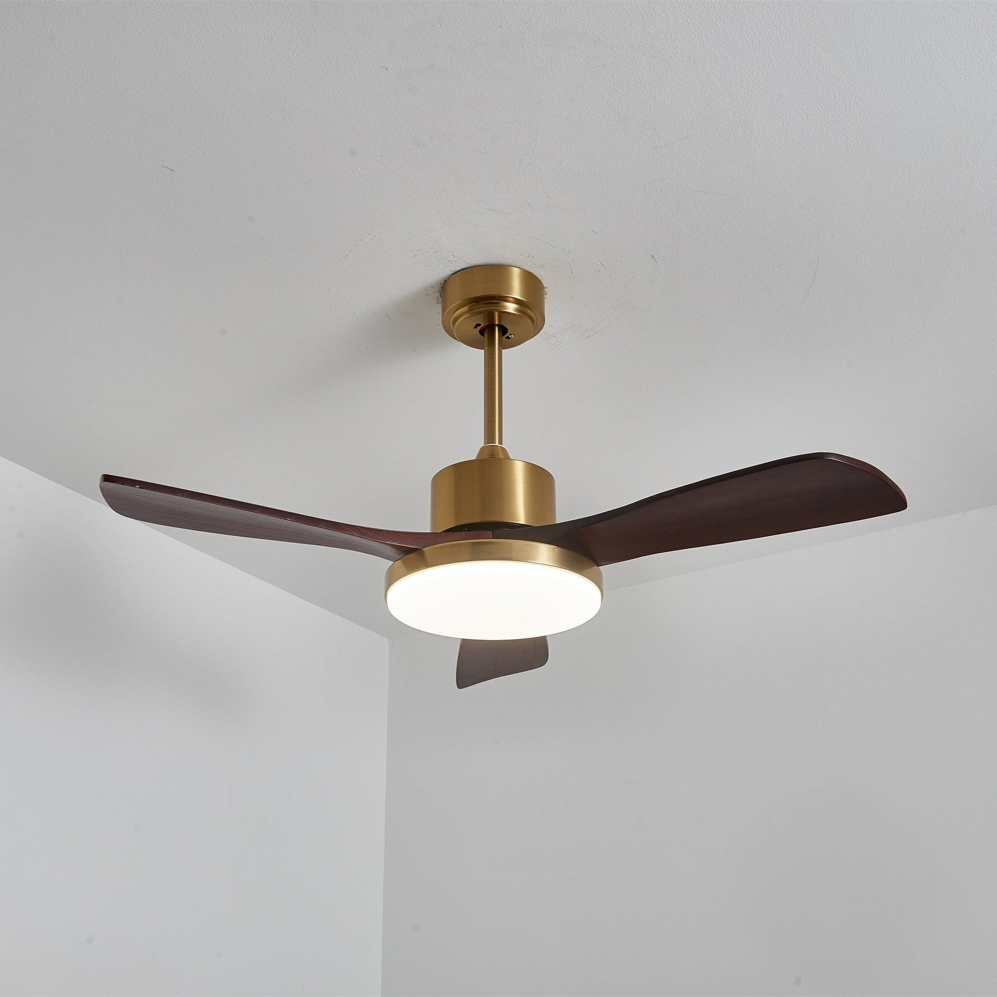 Aurevo Ceiling Fan Light 1001 Ceiling fan light