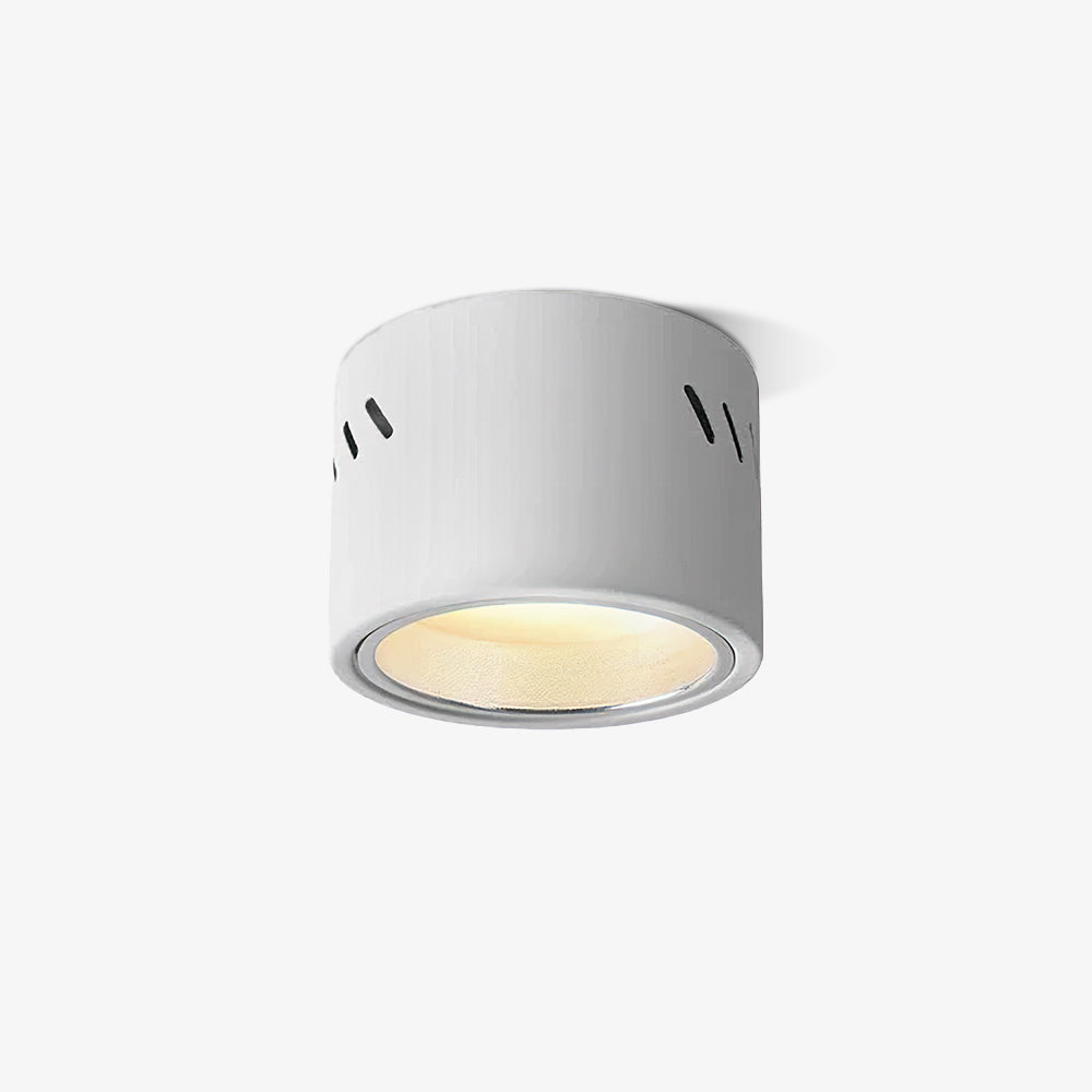 Aven Spotlight Ceiling lamp