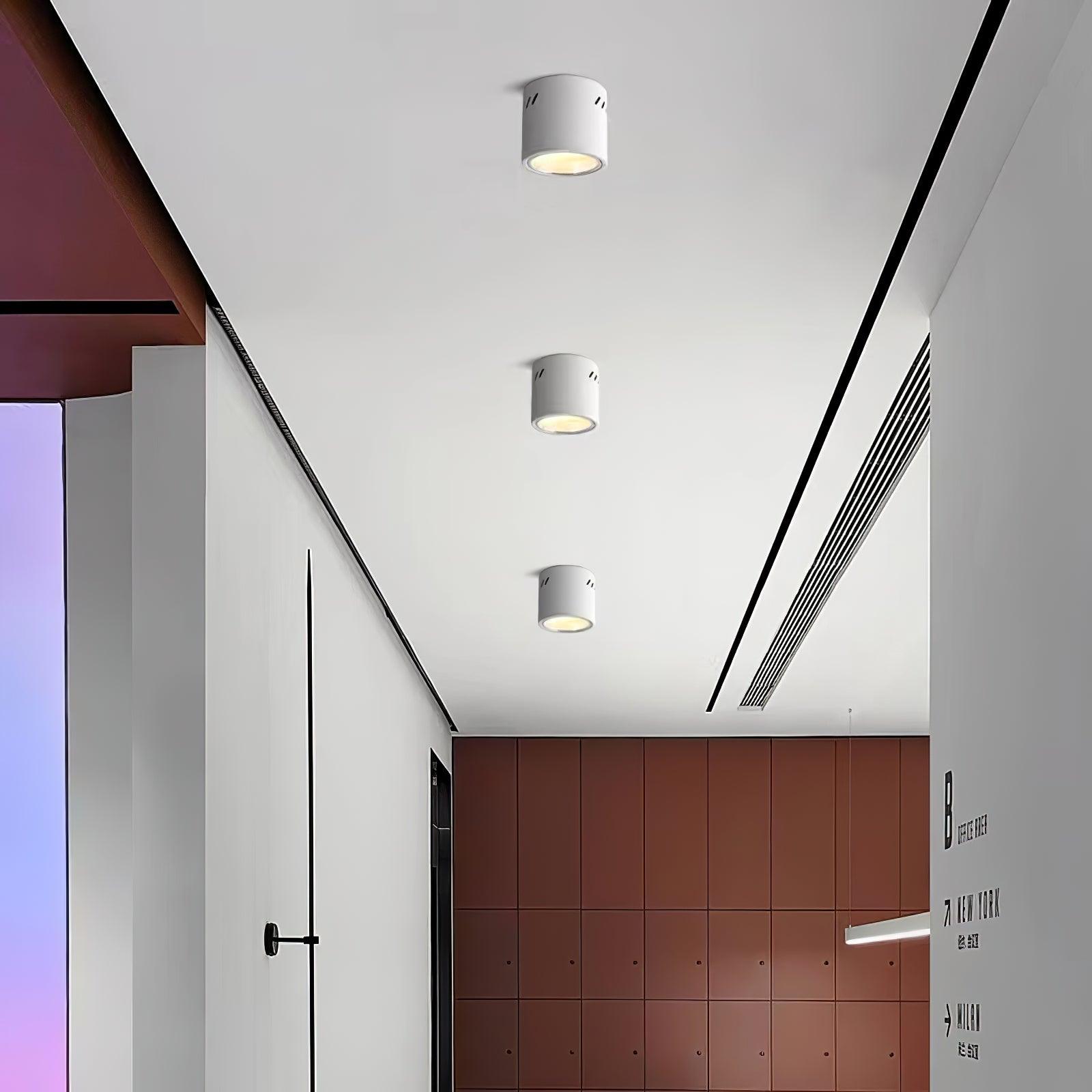 Aven Spotlight Ceiling lamp