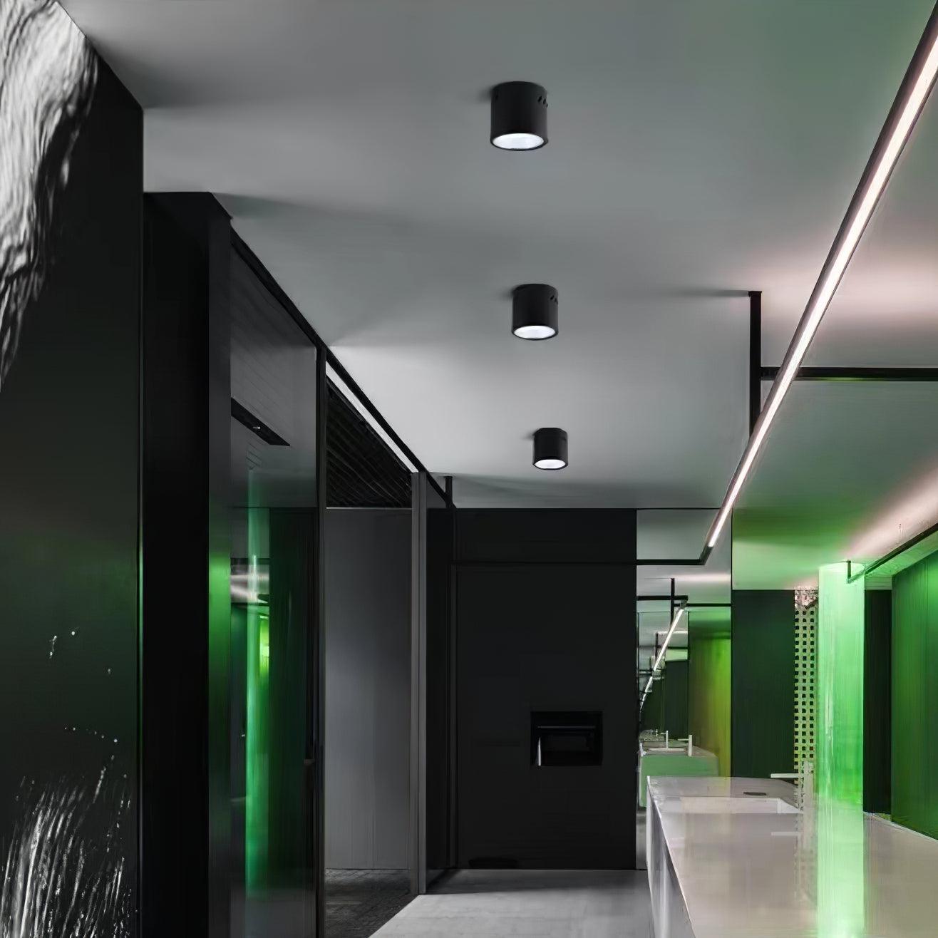 Aven Spotlight Ceiling lamp