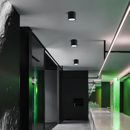 Aven Spotlight Ceiling lamp