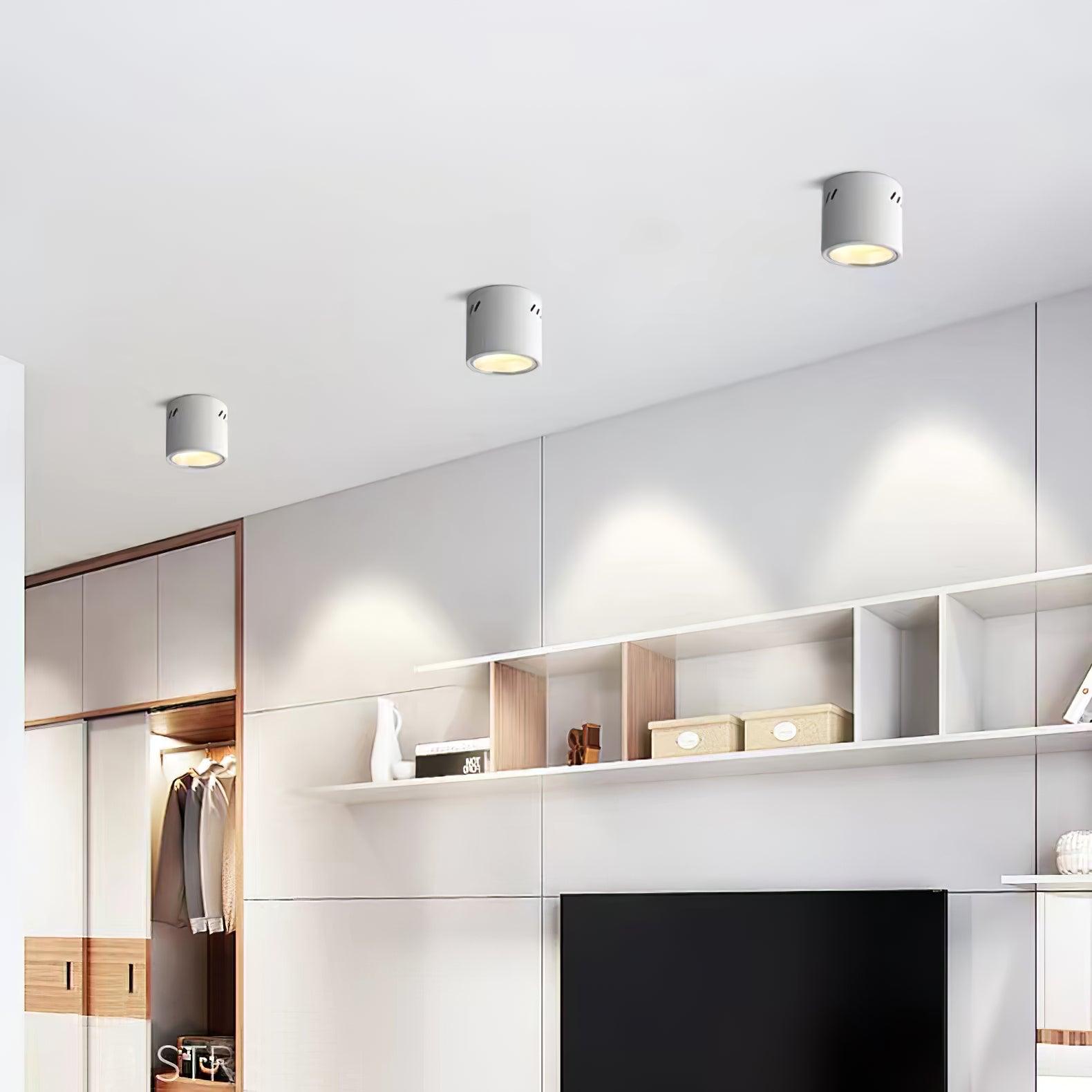 Aven Spotlight Ceiling lamp