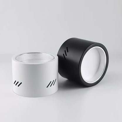 Aven Spotlight Ceiling lamp