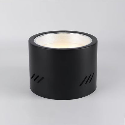 Aven Spotlight Ceiling lamp