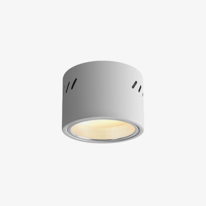 Aven Spotlight Ceiling lamp