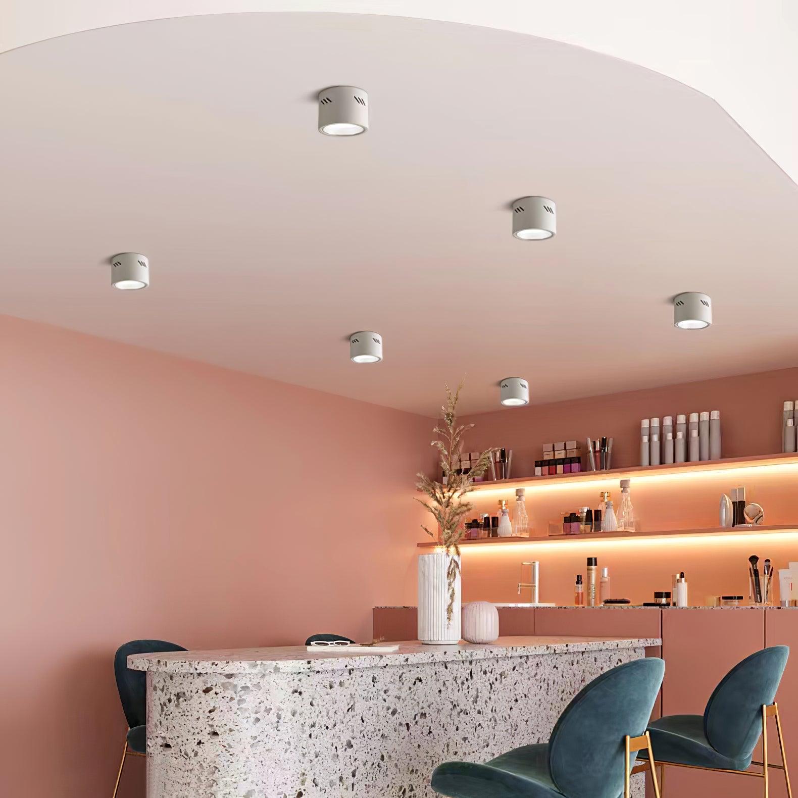 Aven Spotlight Ceiling lamp