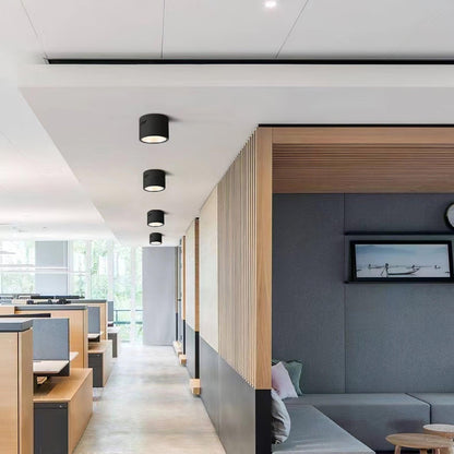 Aven Spotlight Ceiling lamp