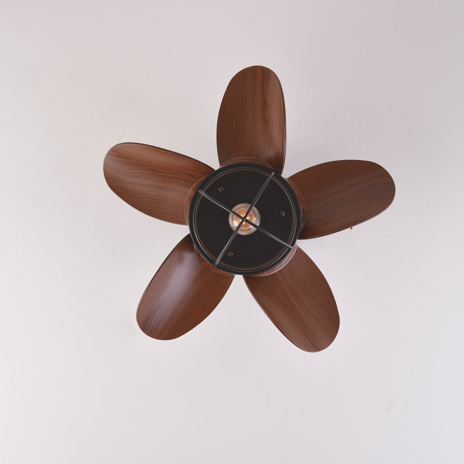 Axton 18’’ Ceiling Fan Light Ceiling fan light