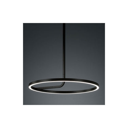 Hoopla LED Pendant