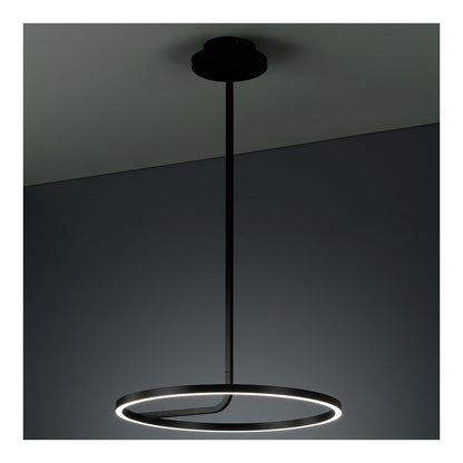Hoopla LED Pendant