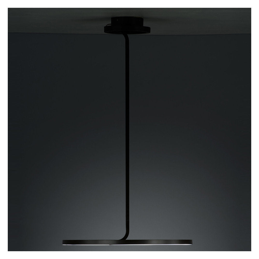 Hoopla LED Pendant