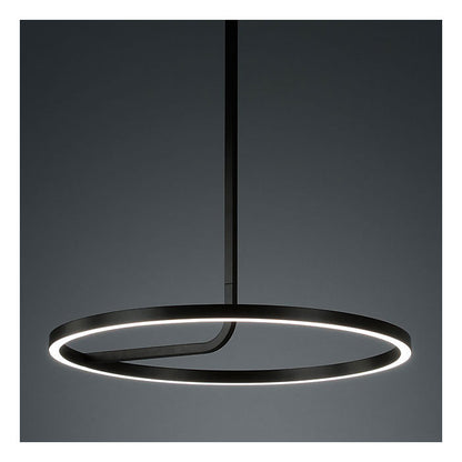 Hoopla LED 277v Pendant