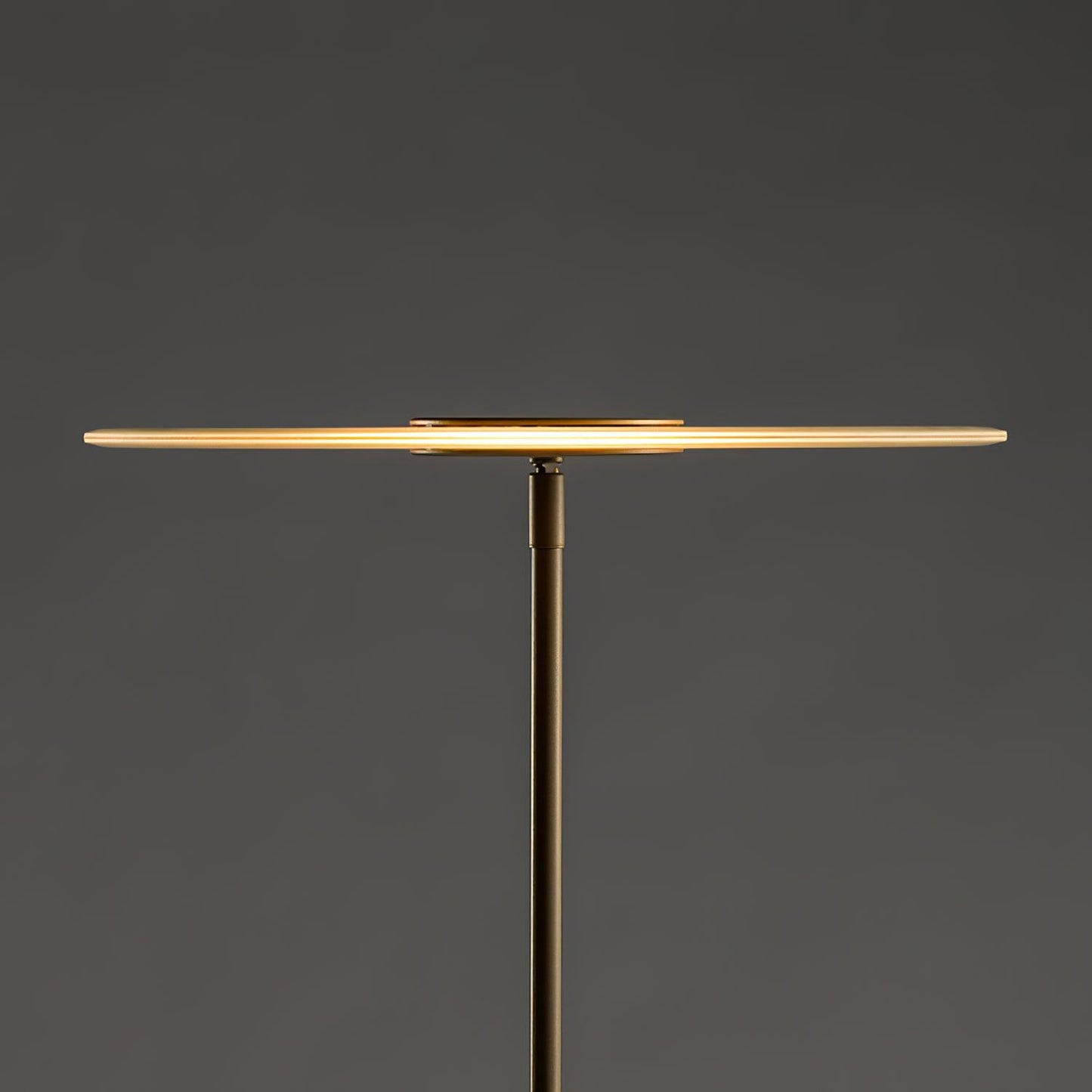 Luxora Floor Lamp Floor lamp