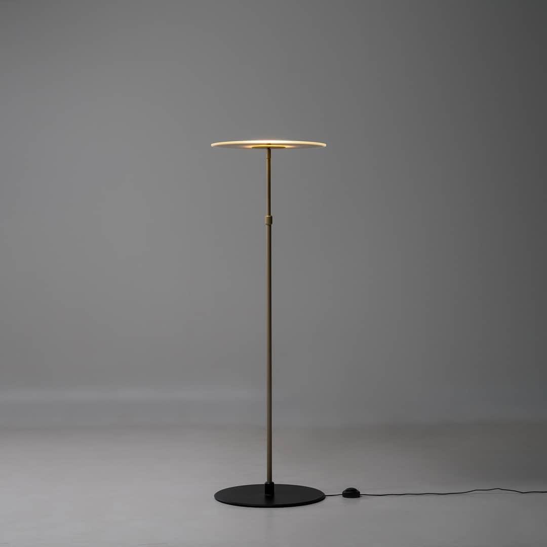 Luxora Floor Lamp Floor lamp
