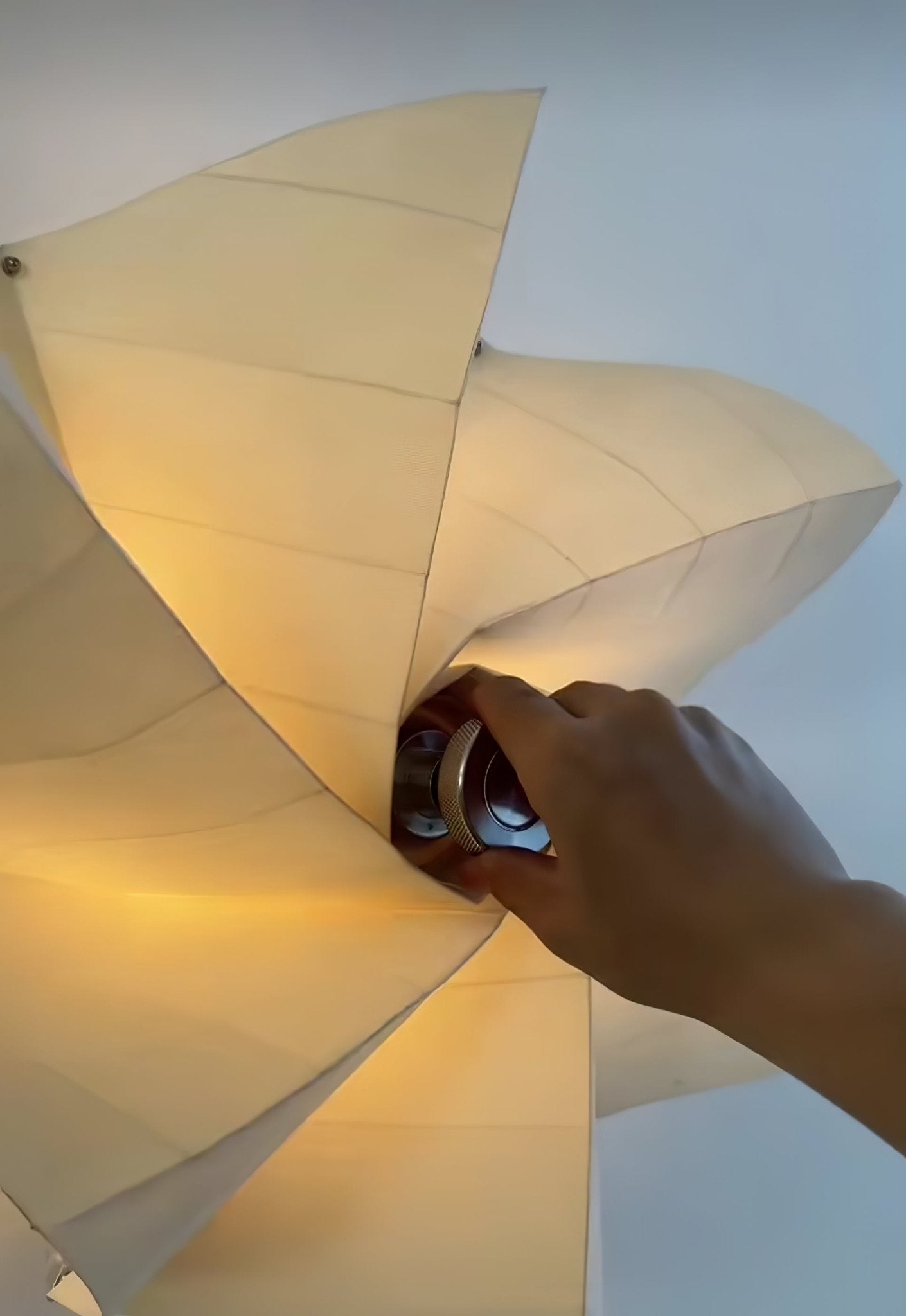 Bloom Petals Wall Lamp Wall lamp