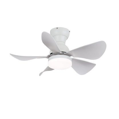 Small Arilia 29’’ Ceiling Fan Light Ceiling fan light