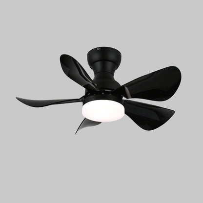 Small Arilia 29’’ Ceiling Fan Light ? 29″ x H 11.8″ / Black / Three-Color Changing Light Ceiling fan light