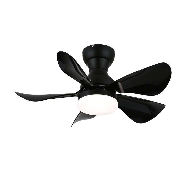 Small Arilia 29’’ Ceiling Fan Light Ceiling fan light