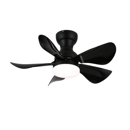 Small Arilia 29’’ Ceiling Fan Light Ceiling fan light
