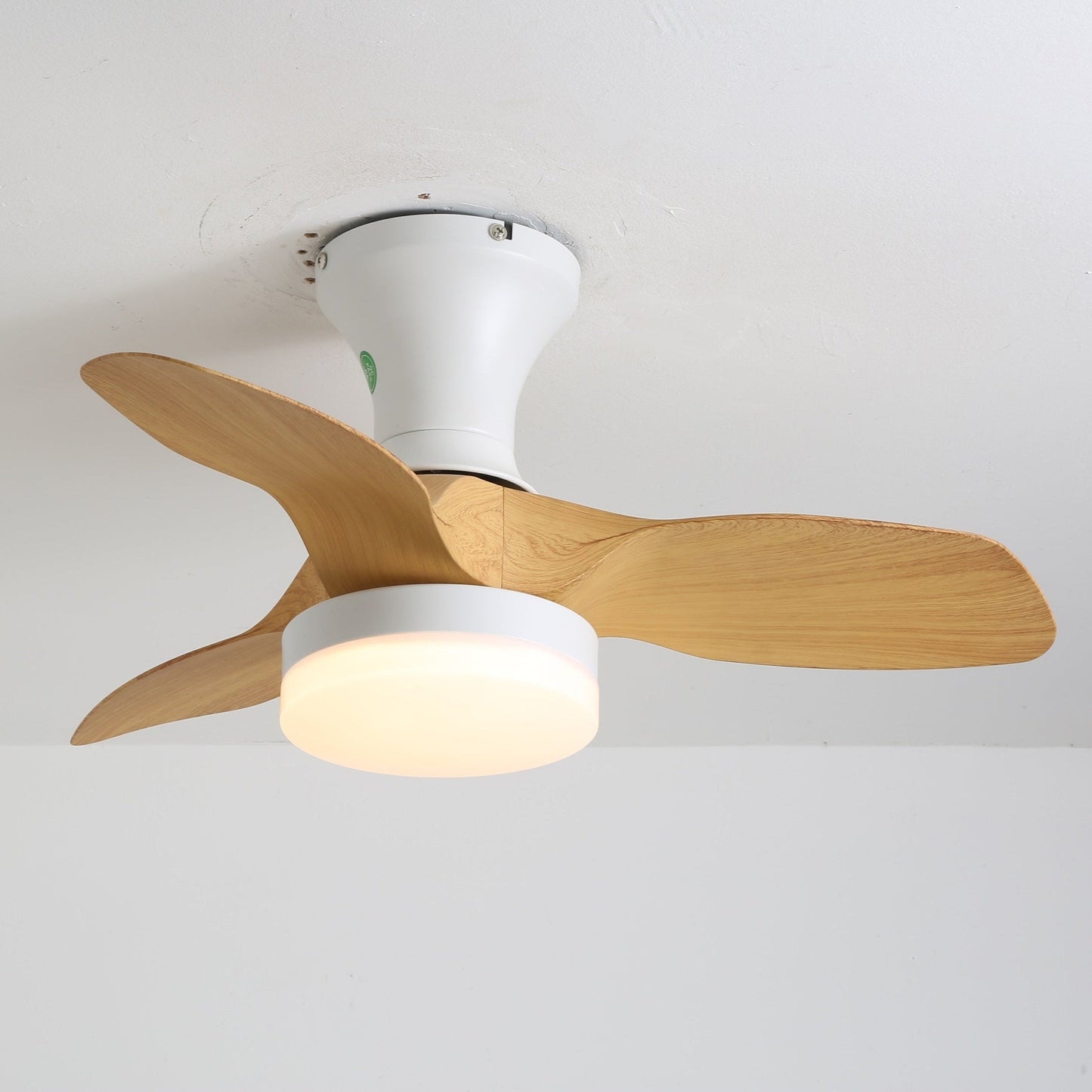 Brisa Ceiling Fan Light 1001 Ceiling fan light