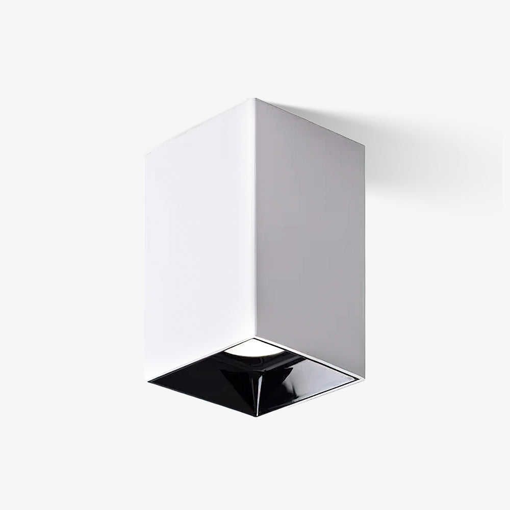 Cube Spotlight Ceiling lamp