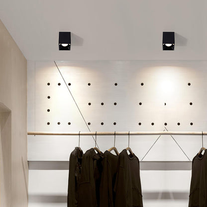 Cube Spotlight Ceiling lamp