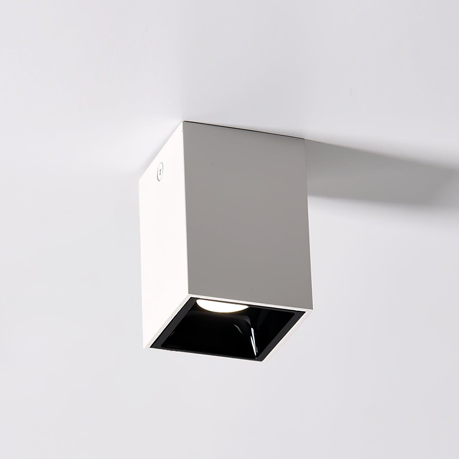Cube Spotlight Ceiling lamp