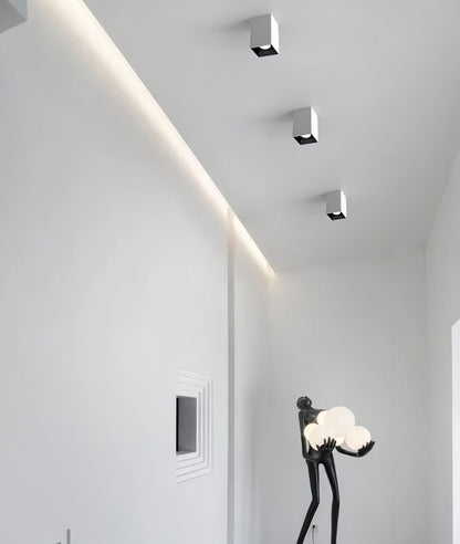 Cube Spotlight Ceiling lamp