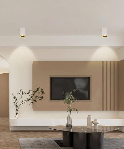 Cube Spotlight Ceiling lamp