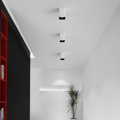 Cube Spotlight Ceiling lamp
