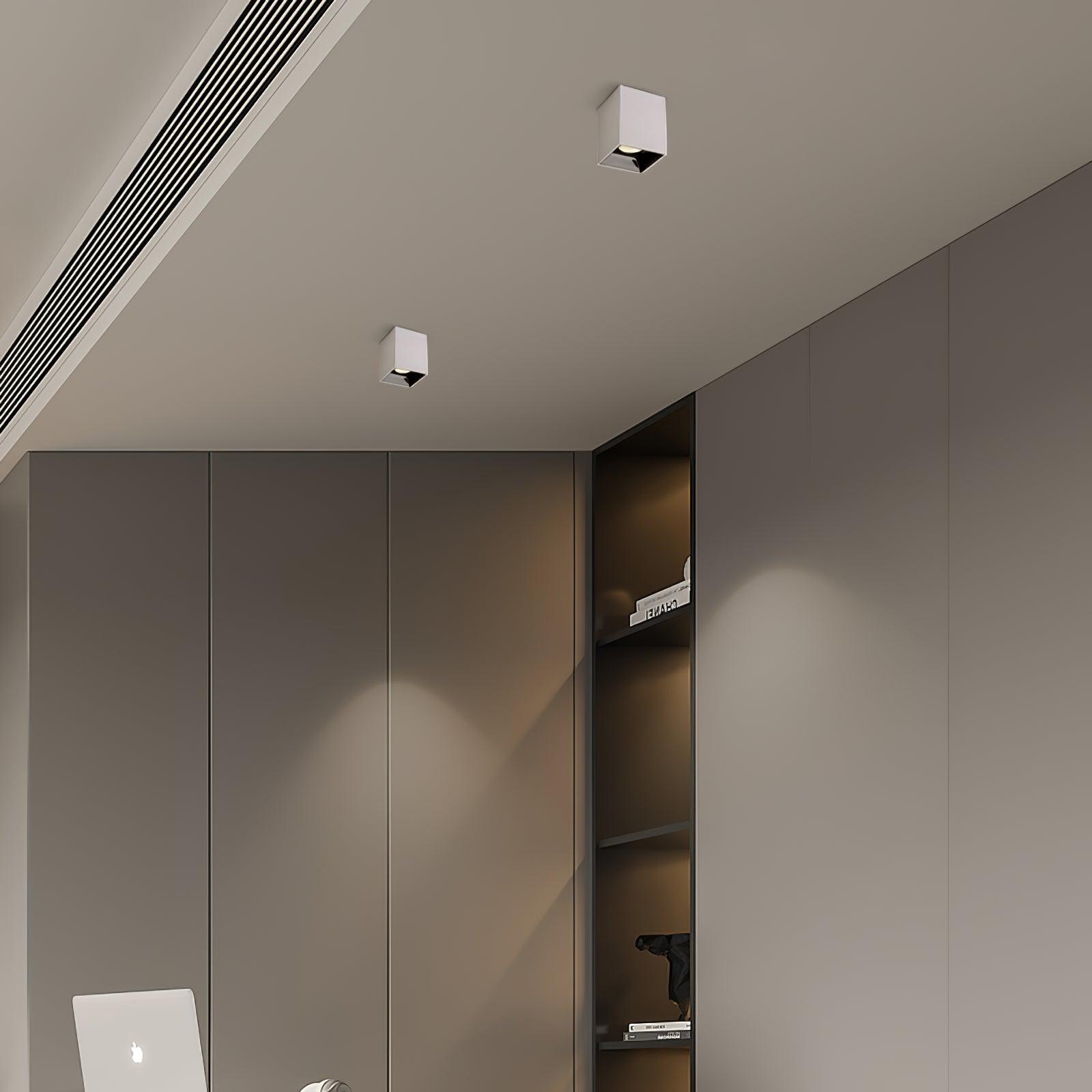 Cube Spotlight Ceiling lamp