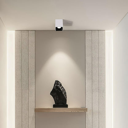 Cube Spotlight Ceiling lamp