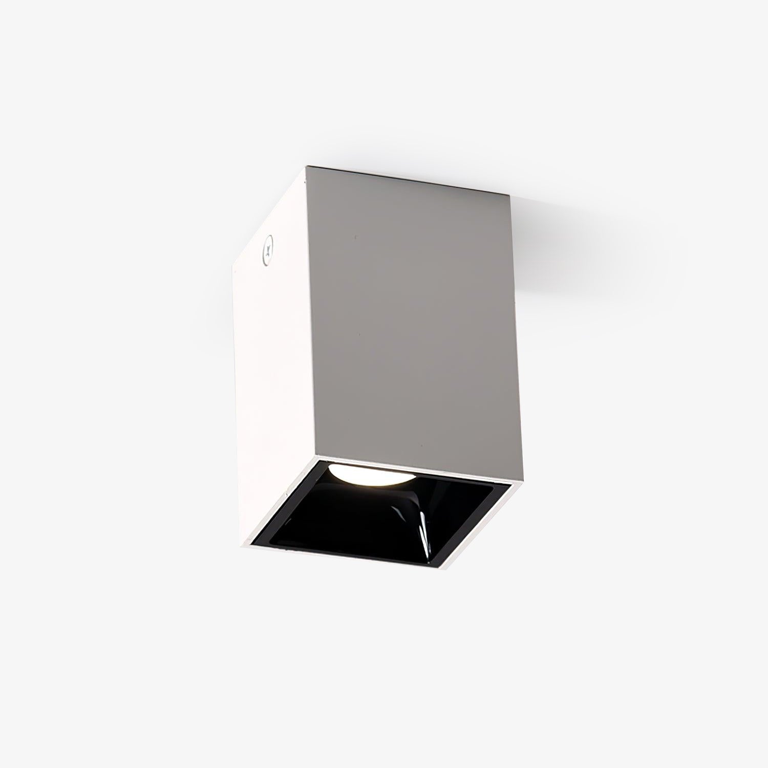 Cube Spotlight Ceiling lamp