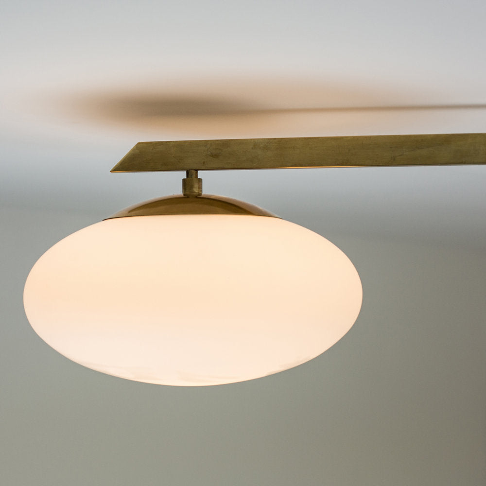 Stella Starfish Wall / Ceiling Light