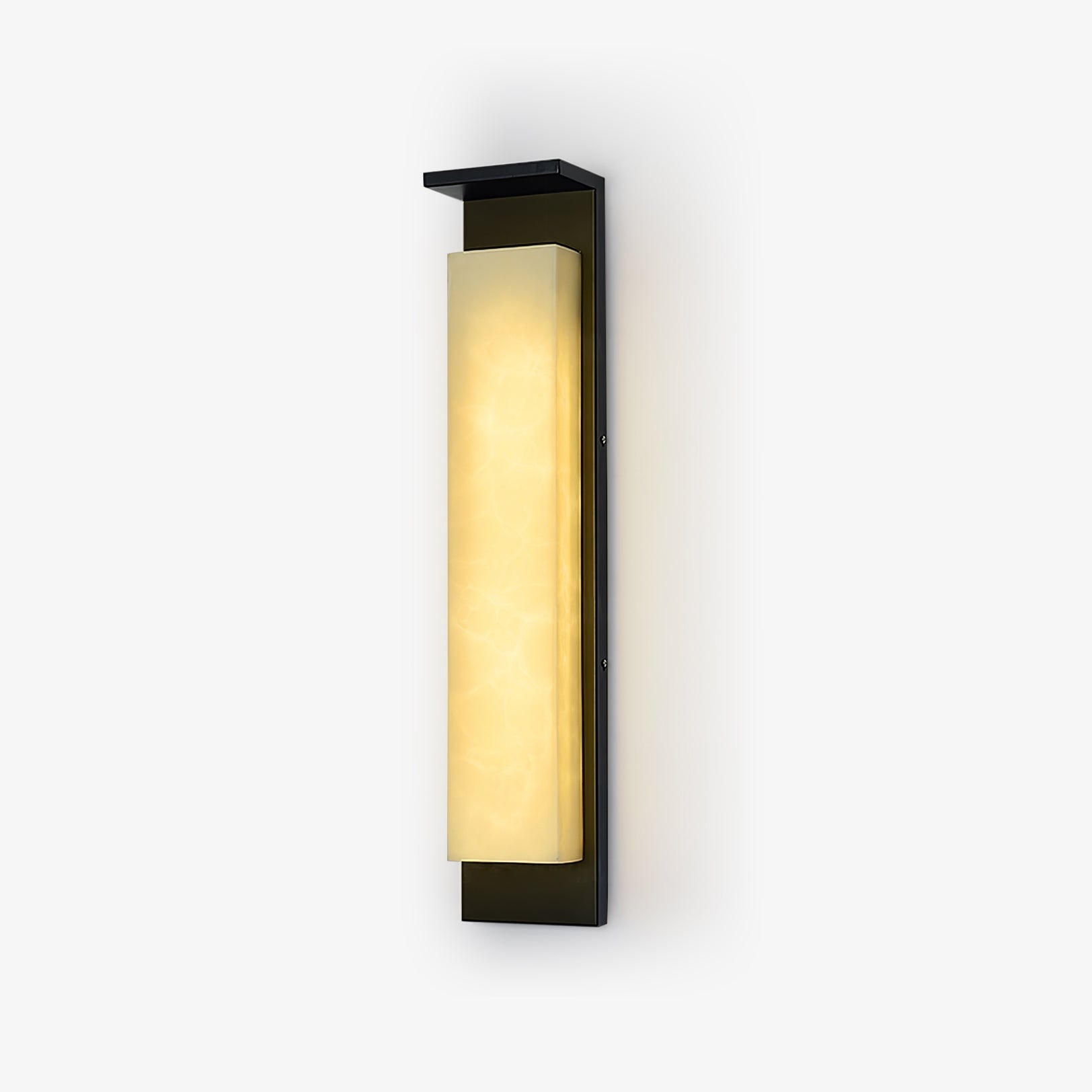 Delaney Outdoor Wall Light Wall lamp