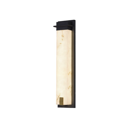 Delaney Outdoor Wall Light Model A L 7.1″ x W 4.7″ x H 37.4″ / Black & White / Warm Light Wall lamp