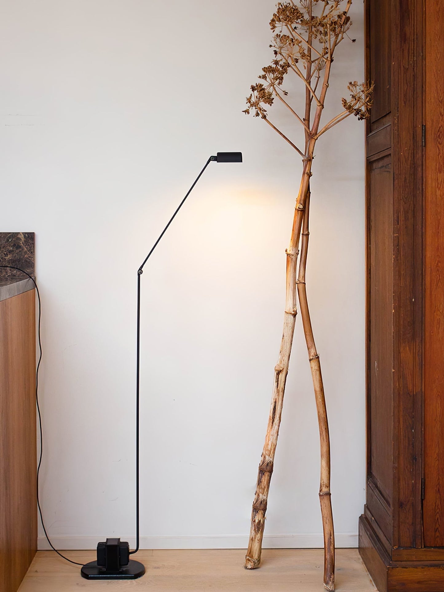 Dynamo Floor Lamp Floor lamp