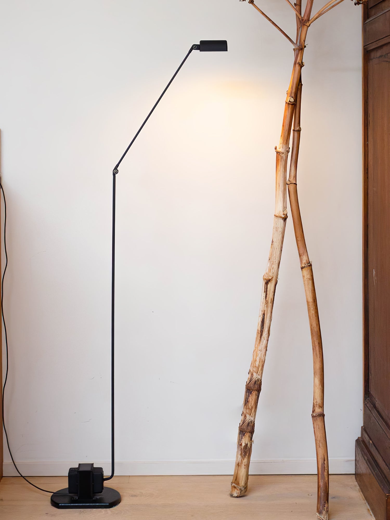 Dynamo Floor Lamp Floor lamp