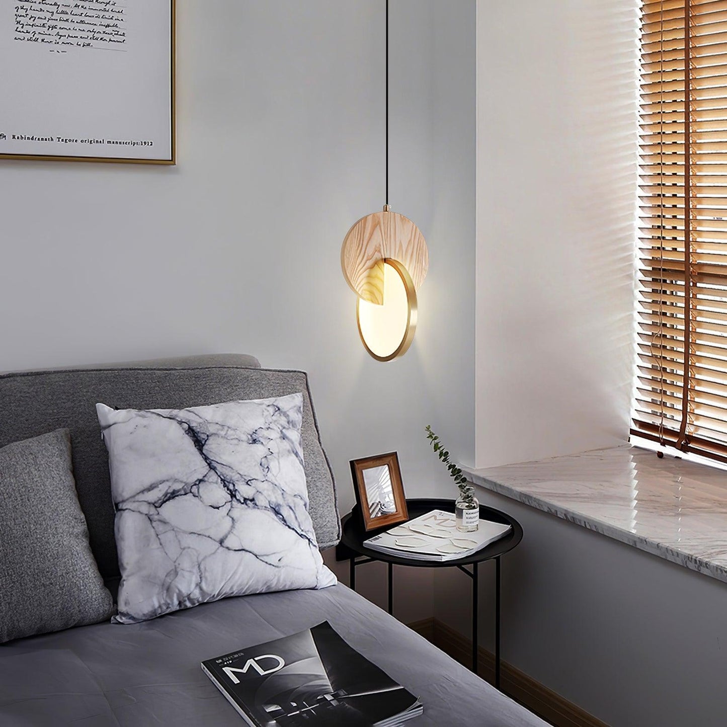 Double Disk Pendant Lamp Pendant light