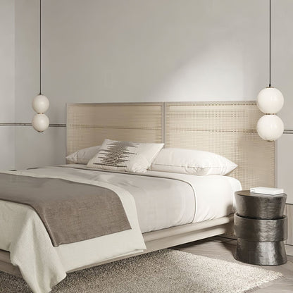 Double Globe Pendant Lamp Pendant light