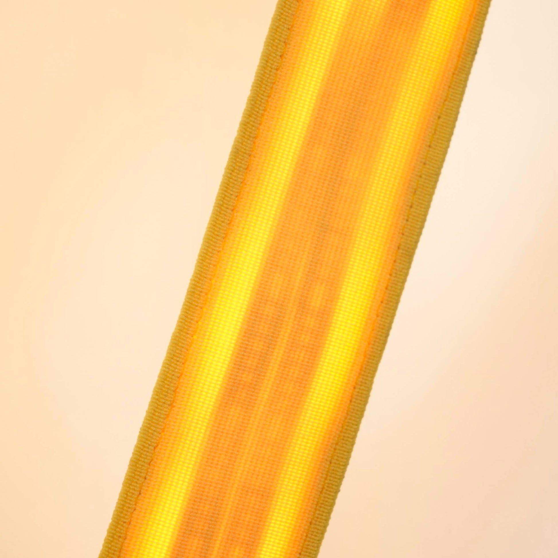 Elastica Arbitrary Floor Lamp Floor lamp