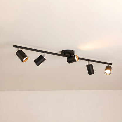 Evanna Ceiling Light 5 heads: L 39.4″ x H 3.3″ / Black / Warm Light