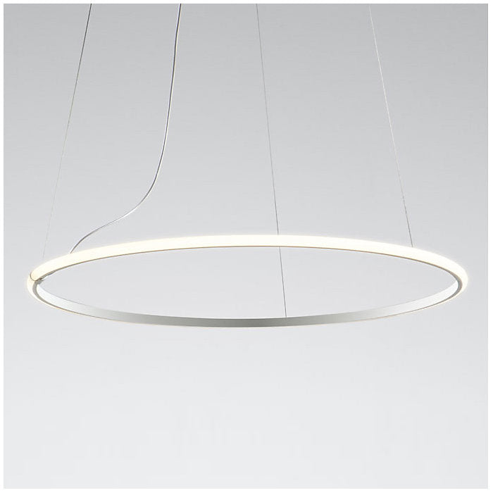Olympic F45 Pendant