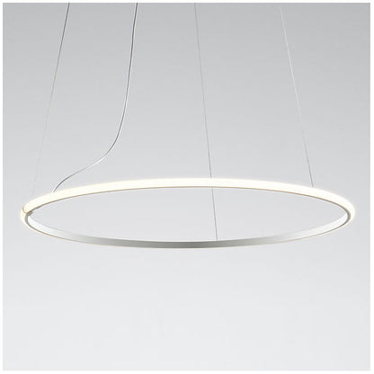 Olympic F45 Pendant