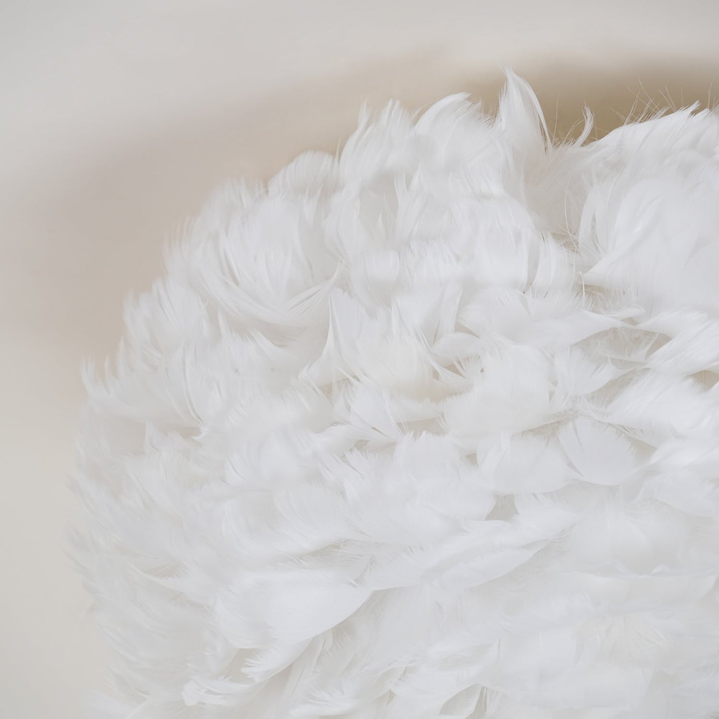 Feathered Ceiling Lamp Ceiling lamp