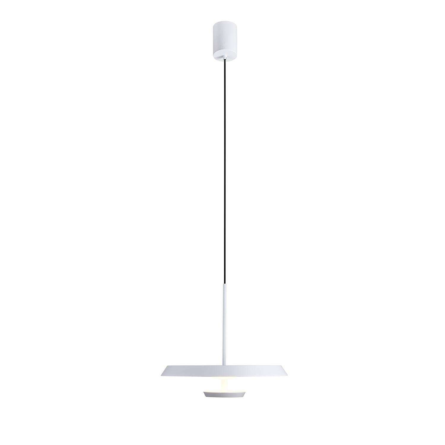 Flat Pendant Light Pendant light