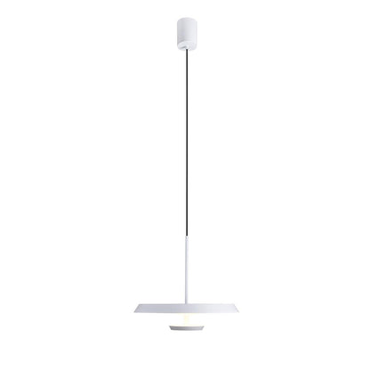 Flat Pendant Light Pendant light